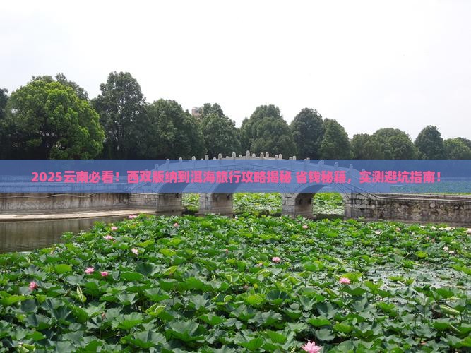 西双版纳到云南洱海旅行社