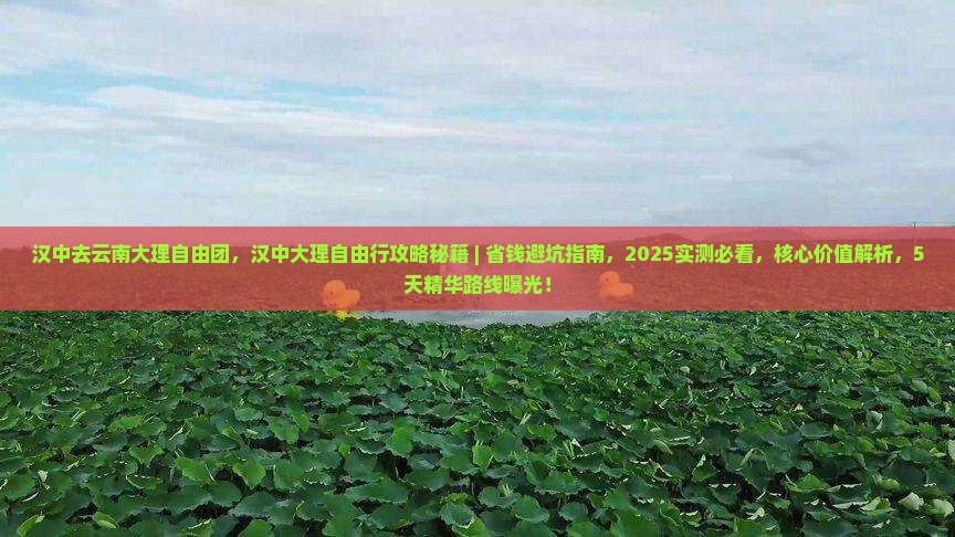 汉中去云南大理自由团