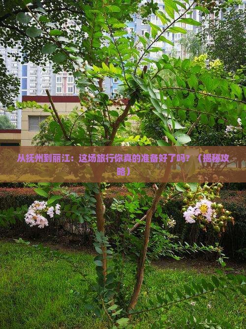 抚州去云南丽江景点