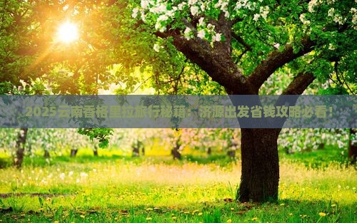 济源到云南香格里拉旅行社