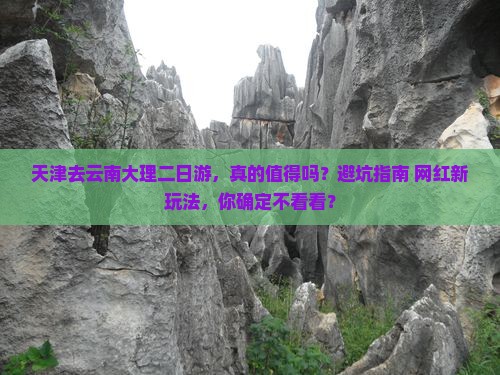 天津去云南大理二日游