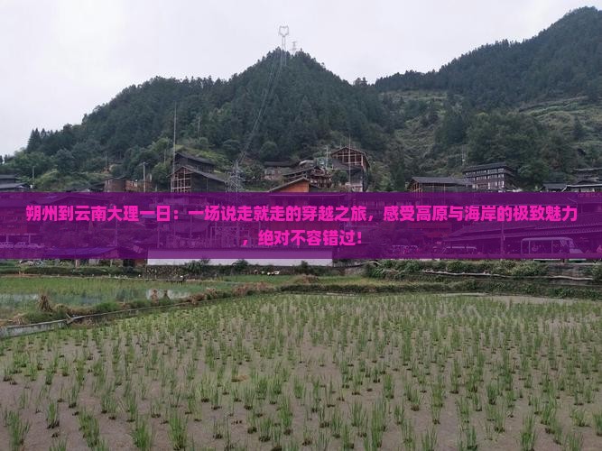 朔州到云南大理一日