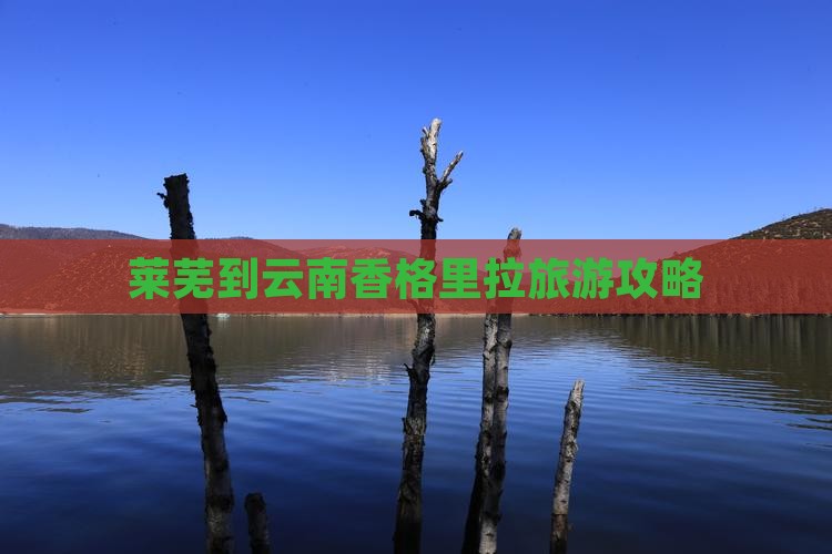 莱芜到云南香格里拉攻略