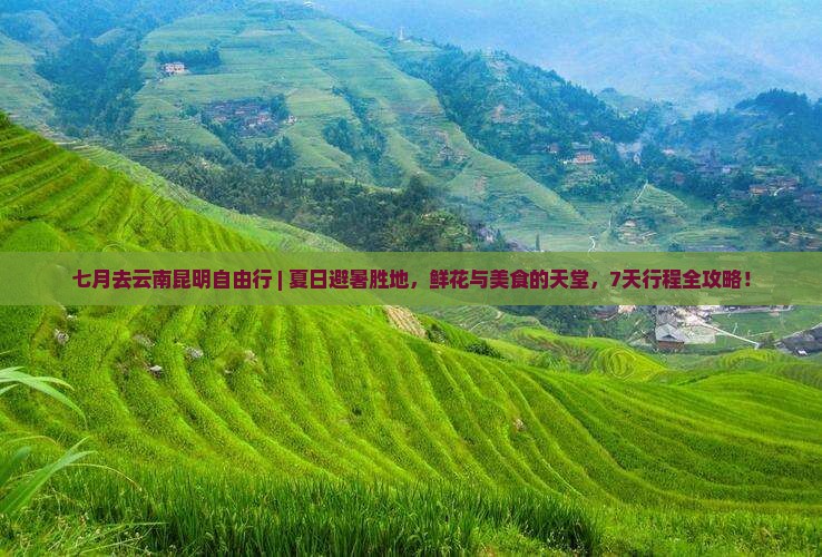 七月去云南昆明自由行 七月去云南昆明自由行