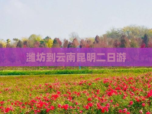 潍坊到云南昆明二日游