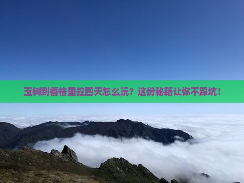 玉树到云南香格里拉四日游