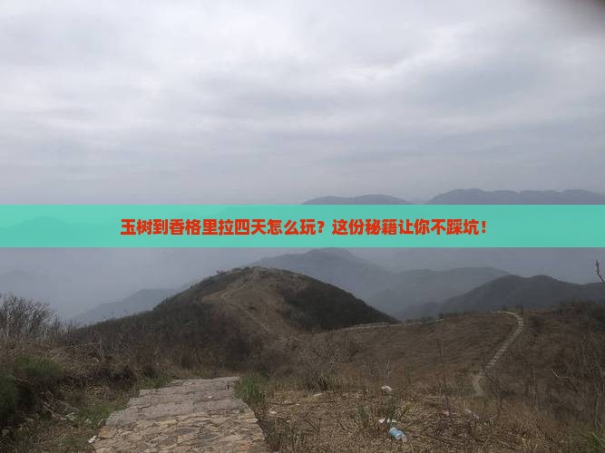 玉树到云南香格里拉四日游