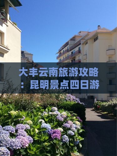 大丰去云南昆明四日游