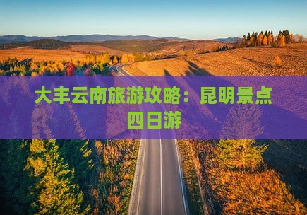 大丰去云南昆明四日游