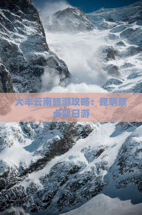 大丰去云南昆明四日游