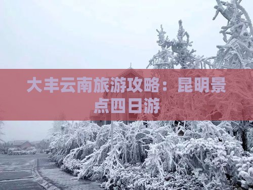 大丰去云南昆明四日游