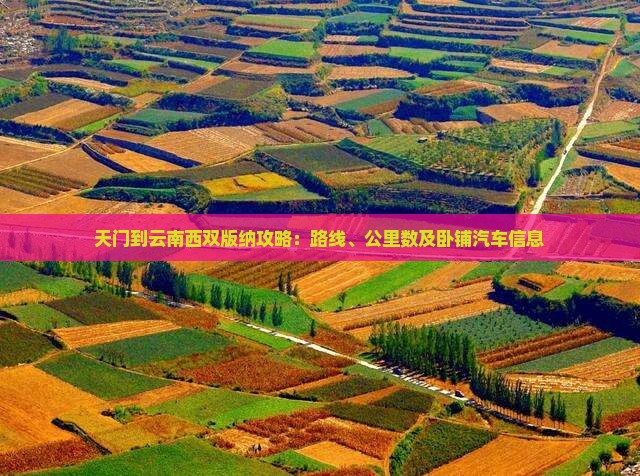 天门到云南西双版纳攻略