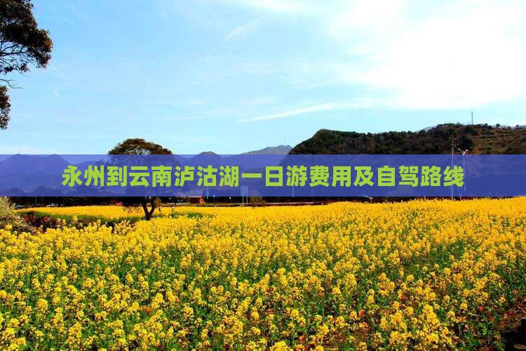 永州到云南泸沽湖一日游费用及自驾路线