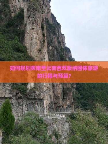如何规划黄南至云南西双版纳团体旅游的行程与预算？