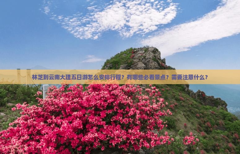 林芝到云南大理五日游怎么安排行程？有哪些必看景点？需要注意什么？