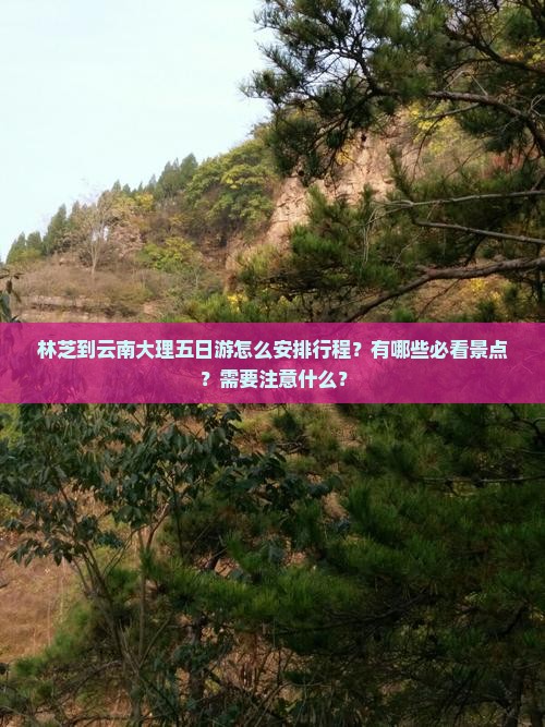 林芝到云南大理五日游怎么安排行程？有哪些必看景点？需要注意什么？