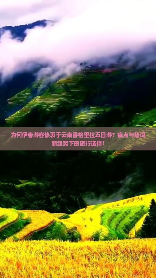 为何伊春游客热衷于云南香格里拉五日游？痛点与热词新趋势下的旅行选择！