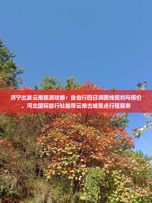 济宁出发云南旅游攻略：自由行四日游路线规划与报价，河北国际旅行社推荐云南古城景点行程服务