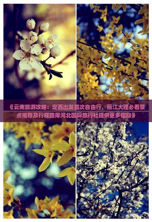 《云南旅游攻略：定西出发首次自由行，丽江大理必看景点推荐及行程路犀河北国际旅行社提供更多信息》