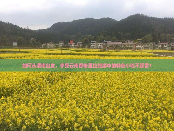 如何从渭南出发，享受云南香格里拉旅游中的特色小吃不踩雷？