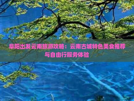 阜阳出发云南旅游攻略：云南古城特色美食推荐与自由行服务体验