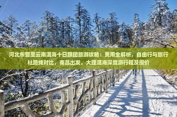 河北东营至云南洱海十日跟团旅游攻略：费用全解析，自由行与旅行社路线对比，南昌出发，大理洱海深度游行程及报价