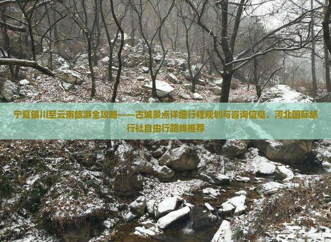 宁夏银川至云南旅游全攻略——古城景点详细行程规划与咨询信息，河北国际旅行社自由行路线推荐