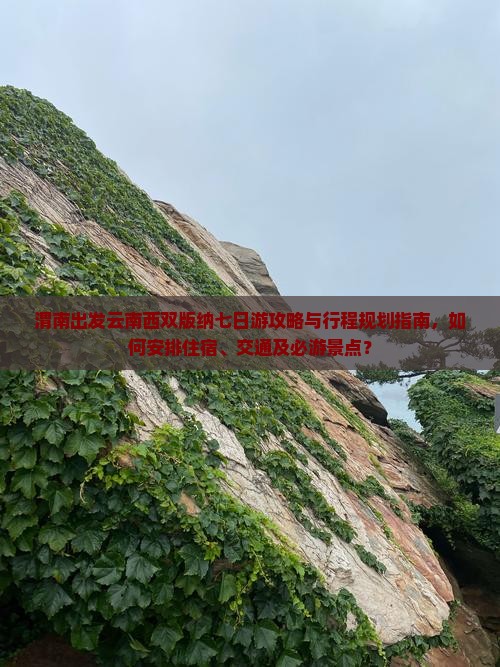渭南出发云南西双版纳七日游攻略与行程规划指南，如何安排住宿、交通及必游景点？