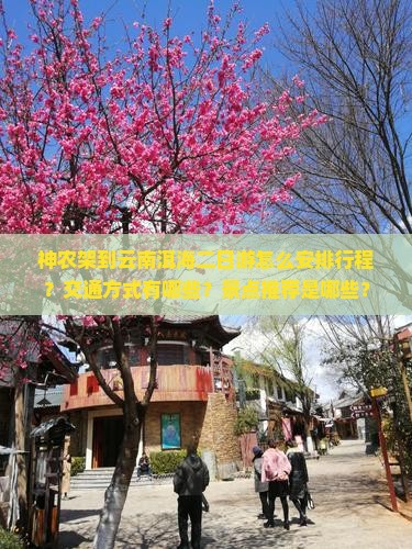 神农架到云南洱海二日游怎么安排行程？交通方式有哪些？景点推荐是哪些？