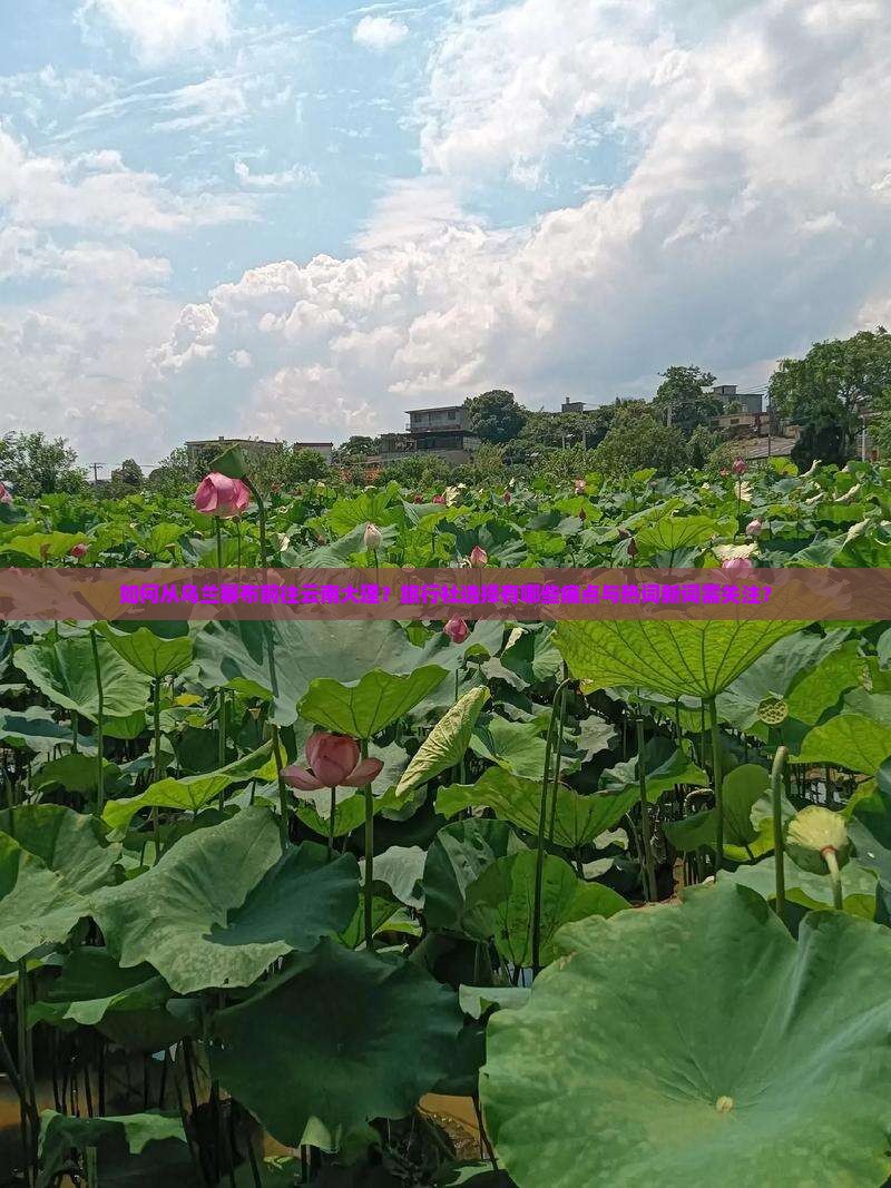如何从乌兰察布前往云南大理？旅行社选择有哪些痛点与热词新词需关注？