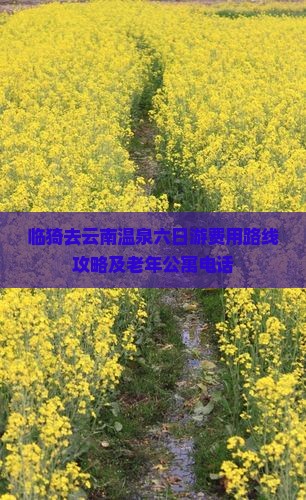 临猗去云南温泉六日游费用路线攻略及老年公寓电话