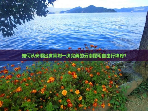 如何从安顺出发策划一次完美的云南昆明自由行攻略？