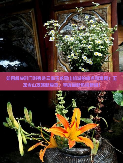 如何解决荆门游客赴云南玉龙雪山旅游的痛点和难题？玉龙雪山攻略新篇章，掌握最新热词新词！