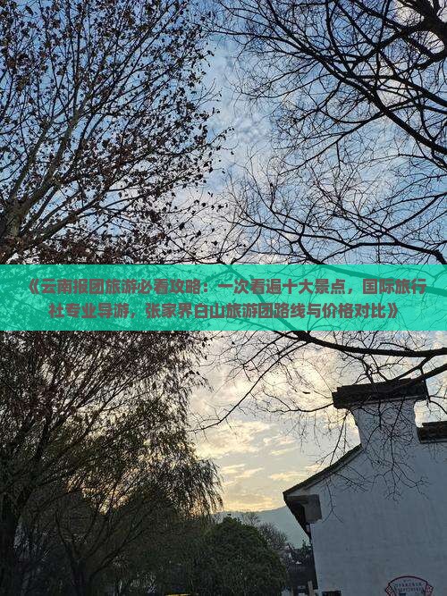 《云南报团旅游必看攻略：一次看遍十大景点，国际旅行社专业导游，张家界白山旅游团路线与价格对比》