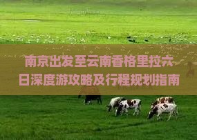 南京出发至云南香格里拉六日深度游攻略及行程规划指南？