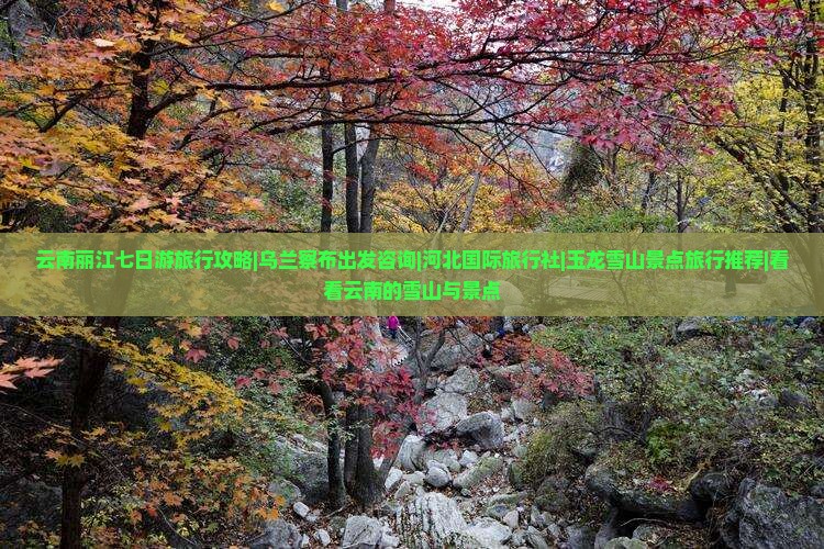 云南丽江七日游旅行攻略|乌兰察布出发咨询|河北国际旅行社|玉龙雪山景点旅行推荐|看看云南的雪山与景点
