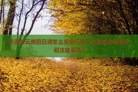 济源到云南四日游怎么安排行程？有哪些必看景点和注意事项？