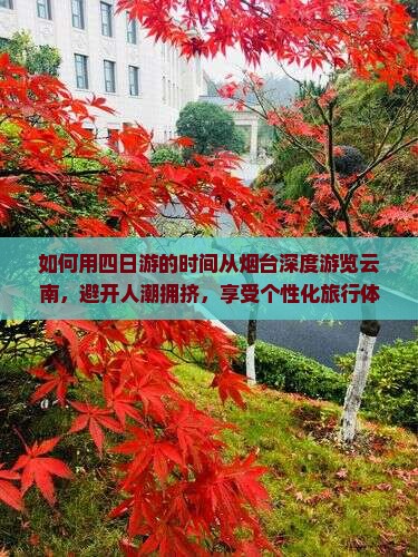 如何用四日游的时间从烟台深度游览云南，避开人潮拥挤，享受个性化旅行体验？