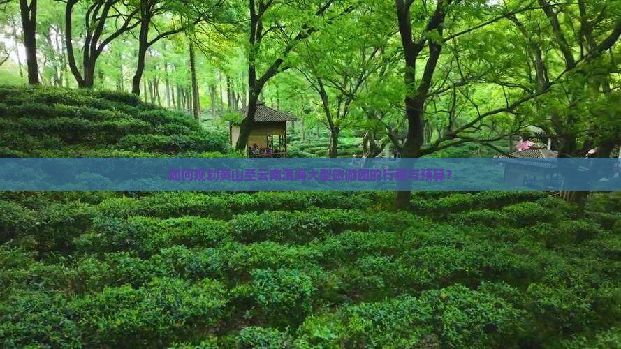 如何规划黄山至云南洱海大型旅游团的行程与预算？