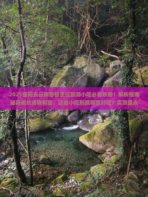 益阳去云南香格里拉旅游小吃