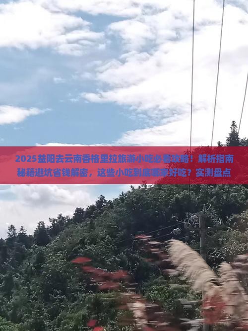 益阳去云南香格里拉旅游小吃