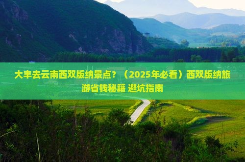 大丰去云南西双版纳景点