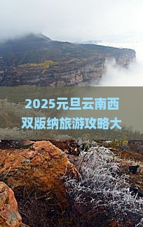 元旦去云南西双版纳自由团