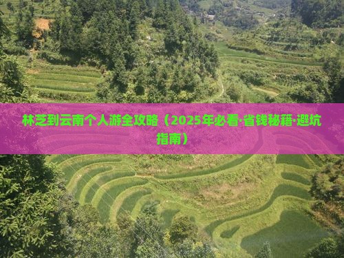 林芝去云南个人游