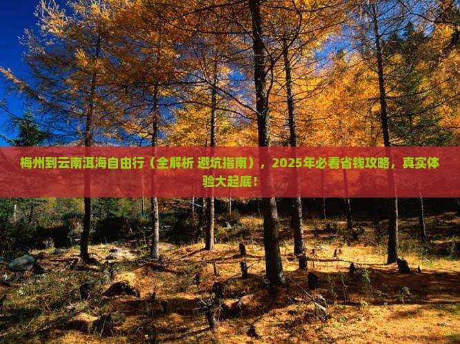 梅州到云南洱海自由行