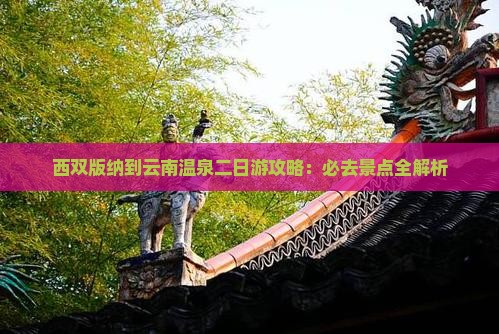 西双版纳到云南温泉二日游