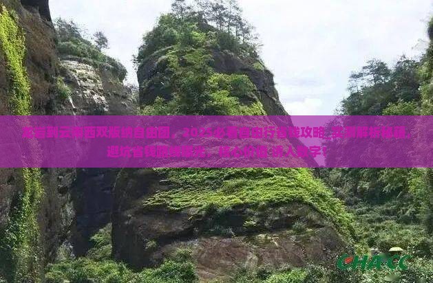 龙岩到云南西双版纳自由团