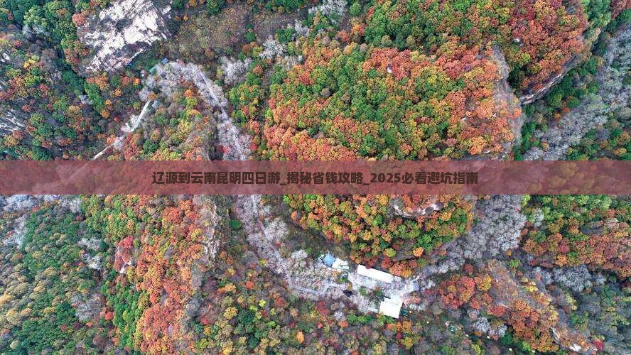 辽源到云南昆明四日游