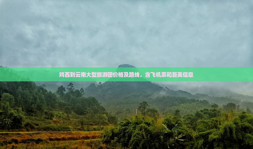 鸡西到云南大型旅游团