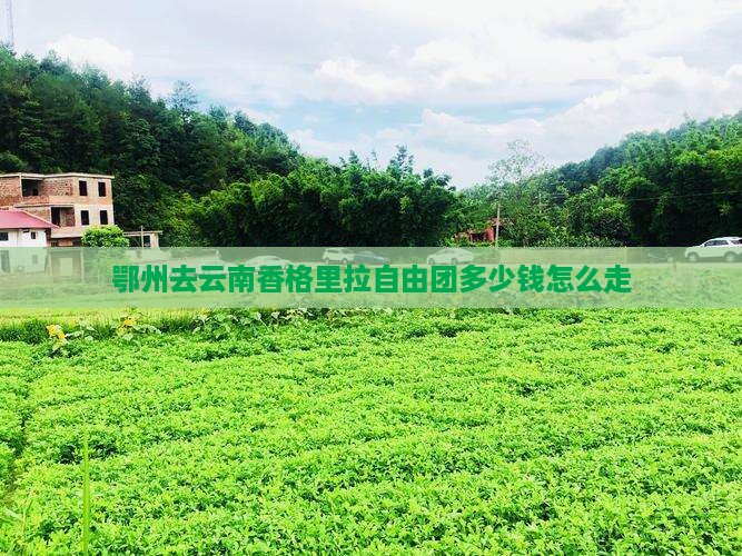 鄂州去云南香格里拉自由团